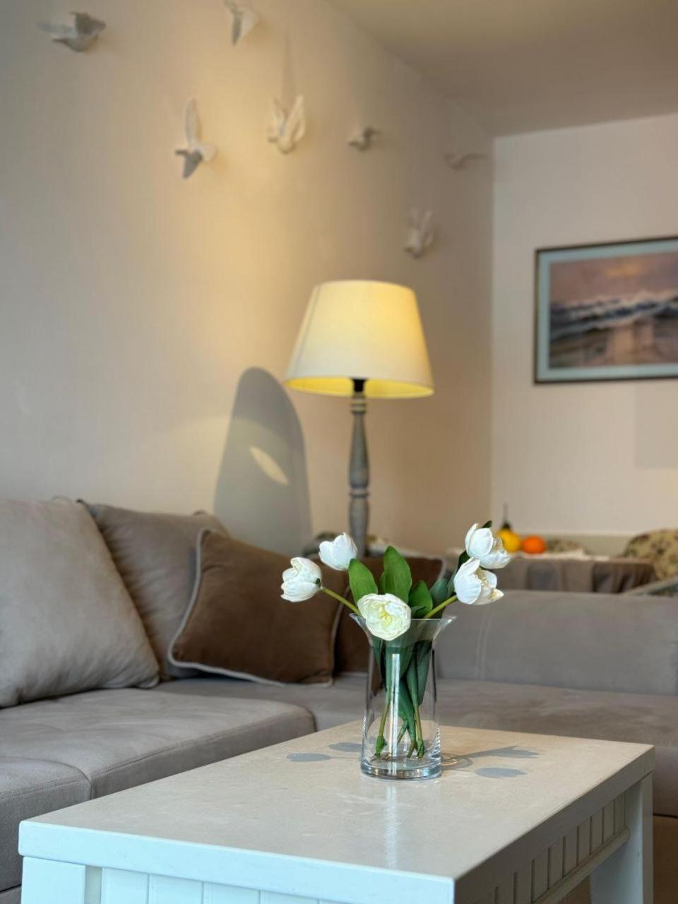 Vikka Boka Apartamento Donja Kostanjica Exterior foto